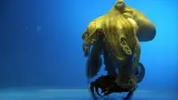 Backdrop to the movie "Aliens of the Deep Sea" #843195