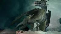 Backdrop to the movie "Dragon