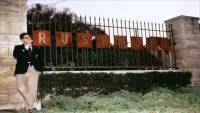 Backdrop to the movie "Rushmore" #822274