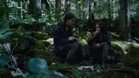 Backdrop to the movie "The Hunger Games" #766915