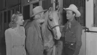Backdrop to the movie "My Pal Trigger" #721432