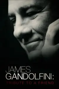 Poster to the movie "James Gandolfini: Tribute to a Friend" #1156948