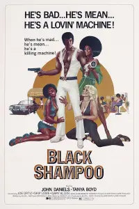 Poster to the movie "Black Shampoo" #1167643
