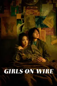 Poster to the movie "Girls on Wire" #970987