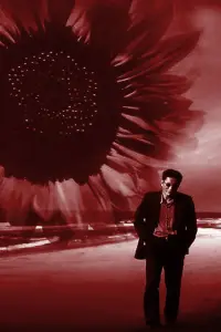 Poster to the movie "Fireworks" #711009