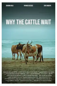 Poster to the movie "Why The Cattle Wait" #1049132