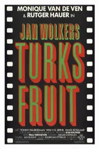 Poster to the movie "Turkish Delight" #825980