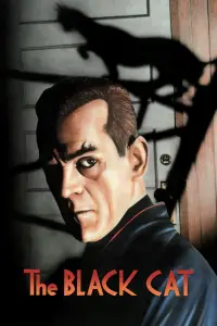Poster to the movie "The Black Cat" #979716