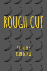 Poster to the movie "Rough Cut" #657314