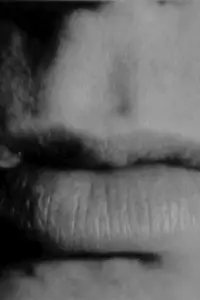 Poster to the movie "Screen Test [ST264]: Lou Reed" #1102599