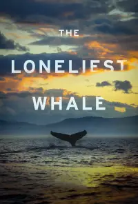Poster to the movie "The Loneliest Whale: The Search for 52" #1021004