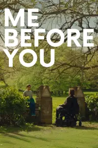 Poster to the movie "Me Before You" #915448