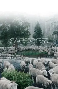 Poster to the movie "Sweetgrass" #1044292