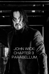 Poster to the movie "John Wick: Chapter 3 - Parabellum" #740592