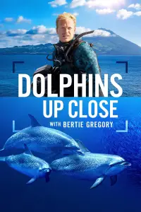 Poster to the movie "Dolphins Up Close with Bertie Gregory" #925243