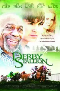 Poster to the movie "The Derby Stallion" #1088804