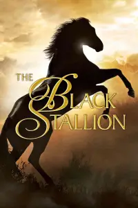 Poster to the movie "The Black Stallion" #988563