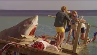Backdrop to the movie "The Last Shark" #746025