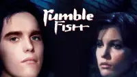 Backdrop to the movie "Rumble Fish" #1036396