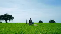 Backdrop to the movie "pequeño lujo" #731519