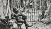 Backdrop to the movie "Planet of the Apes" #725932