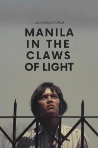 Poster to the movie "Manila in the Claws of Light" #762518