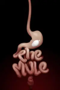 Poster to the movie "The Mule" #1164234