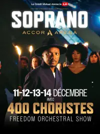 Poster to the movie "Soprano à l