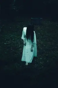 Poster to the movie "Ring" #793503