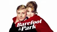 Backdrop to the movie "Barefoot in the Park" #1039991