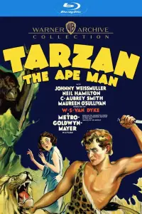 Poster to the movie "Tarzan the Ape Man" #958129