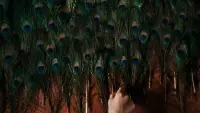 Backdrop to the movie "The Metamorphosis of Birds" #786059