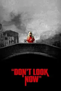 Poster to the movie "Don