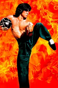 Poster to the movie "Drunken Master" #715929