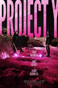 Poster to the movie "Project Y" #516938