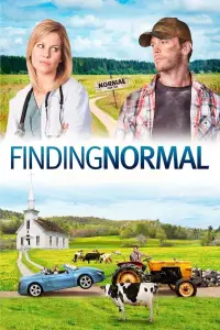 Poster to the movie "Finding Normal" #1079497
