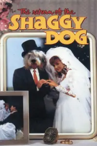 Poster to the movie "The Return of the Shaggy Dog" #1136264
