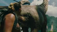 Backdrop to the movie "Untitled Jurassic World Movie" #774472