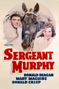 Poster to the movie "Sergeant Murphy" #1086244