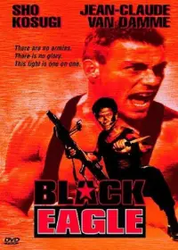 Poster to the movie "Black Eagle" #1096504