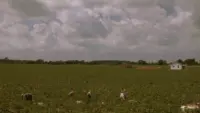 Backdrop to the movie "Walk the Line" #769998