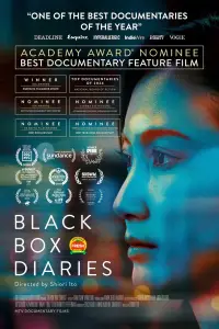 Poster to the movie "Black Box Diaries" #981421
