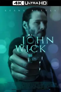 Poster to the movie "John Wick" #526063