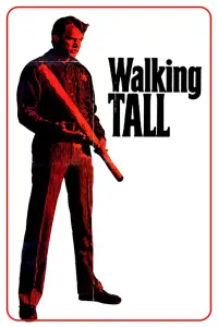 Poster to the movie "Walking Tall" #985933