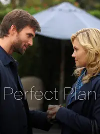 Poster to the movie "Perfect Plan" #1256428