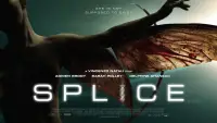 Backdrop to the movie "Splice" #1026728