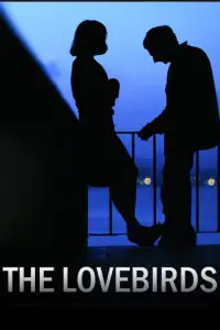 Poster to the movie "The Lovebirds" #1086070