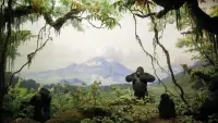 Backdrop to the movie "Curiosity and Control" #782514