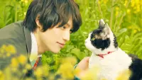 Backdrop to the movie "The Travelling Cat Chronicles" #424871