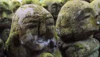 Backdrop to the movie "The Magical World of Moss" #698336